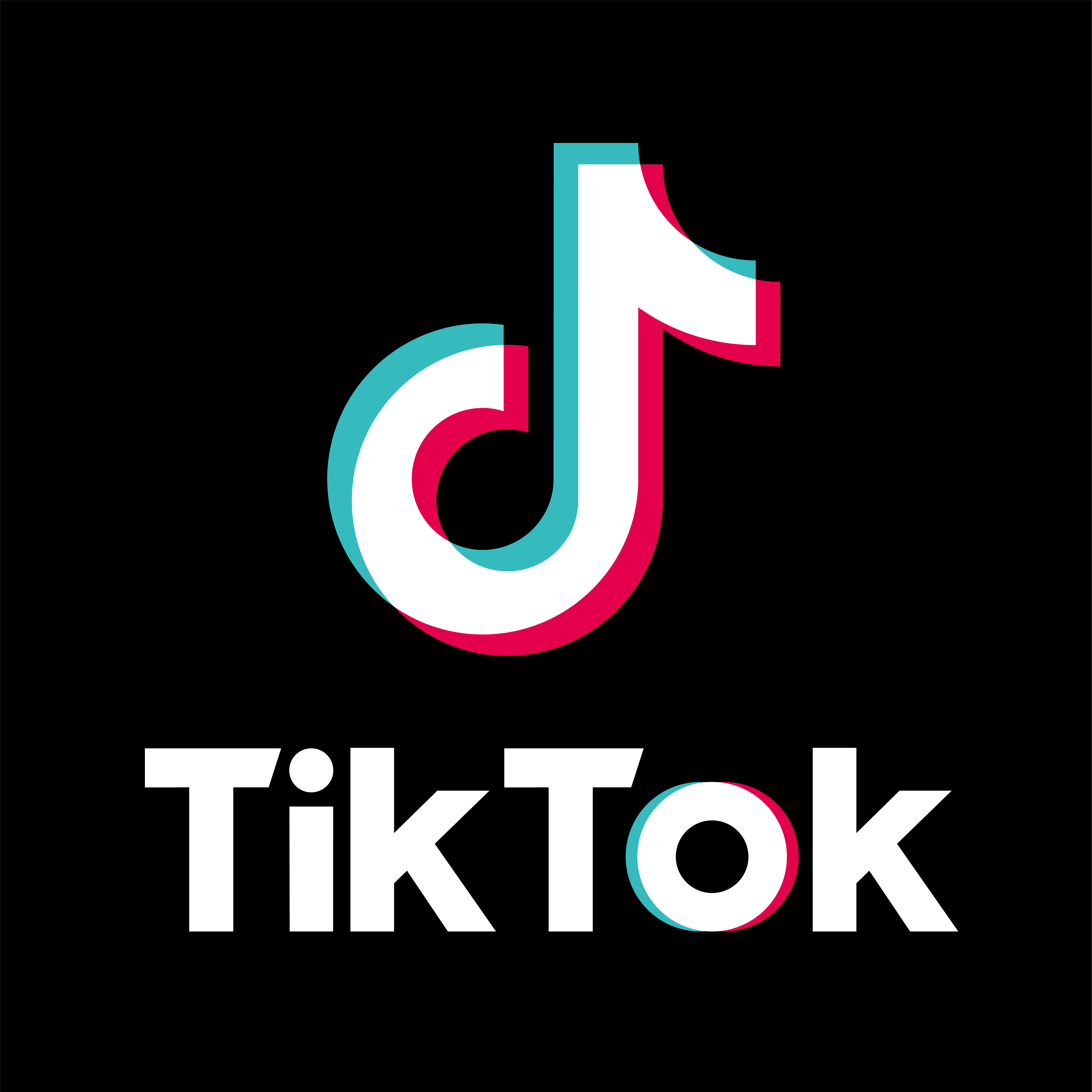 TikTok Followers  - [ 1 Qty = 1000 Followers ]